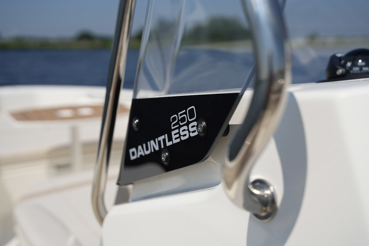 foto: 35 Boston Whaler 250 Dauntless