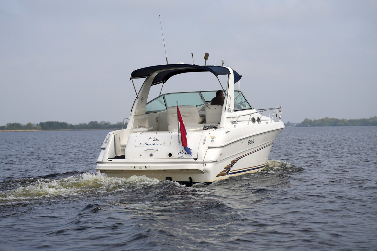foto: 43 Sea Ray 310 Sundancer