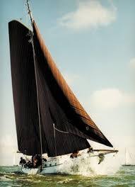 foto: 39 Blom Lemsteraak 12.10 Roefaak