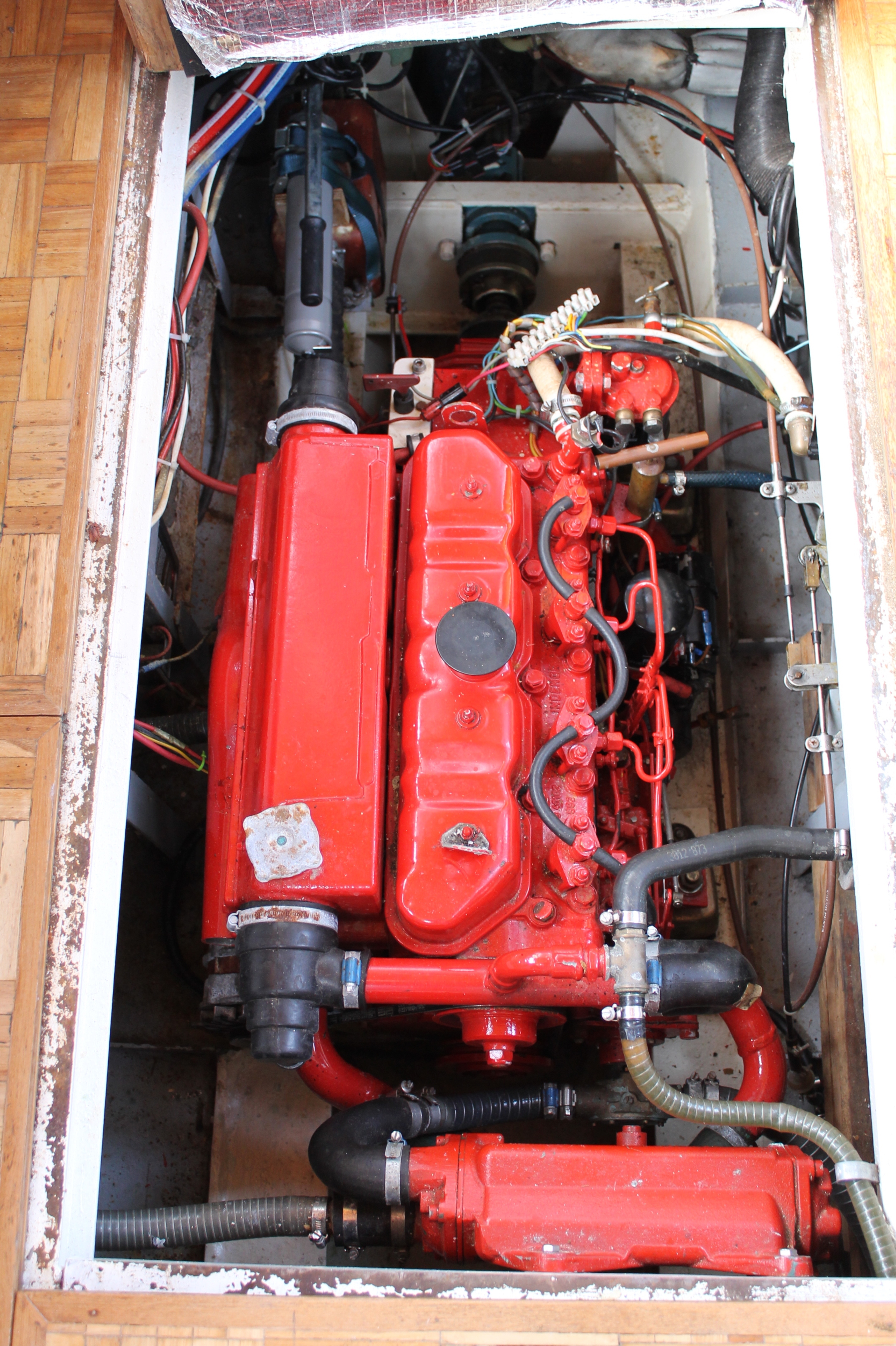 foto: 46 Peereboom Kruiser GSAK