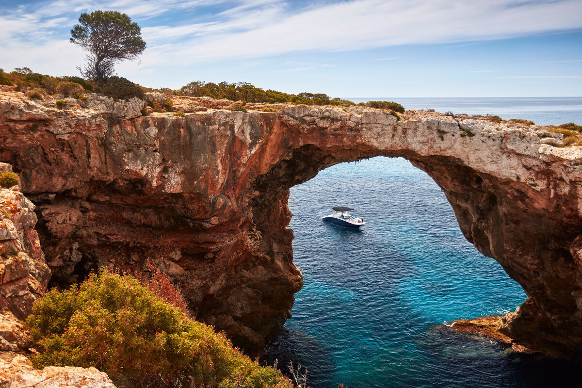 foto: 14 Sea Ray SDX 270