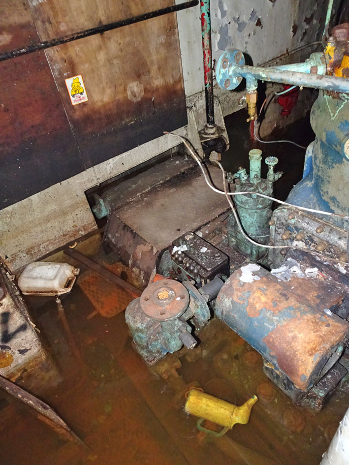 foto: 21 Luxe Motor Elizabeth III 42.46 casco