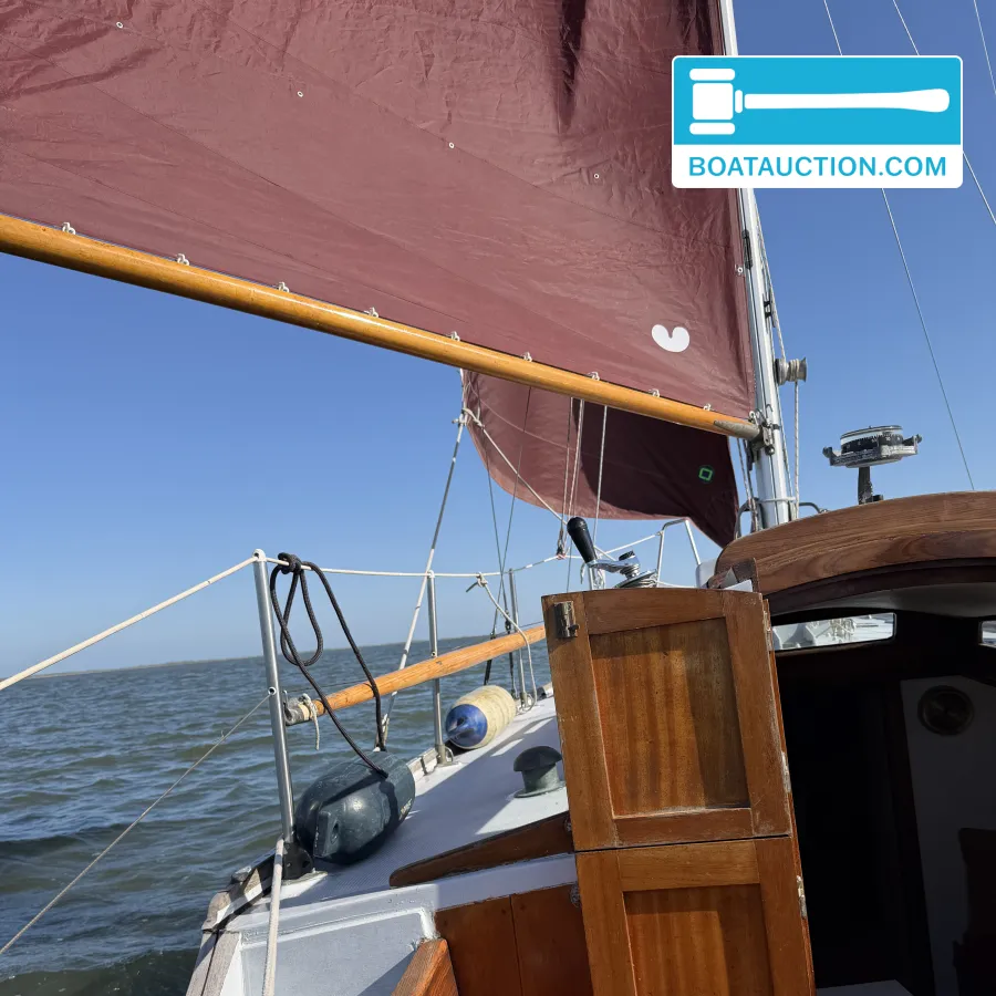 foto: 29 Rossiter Pintail 27