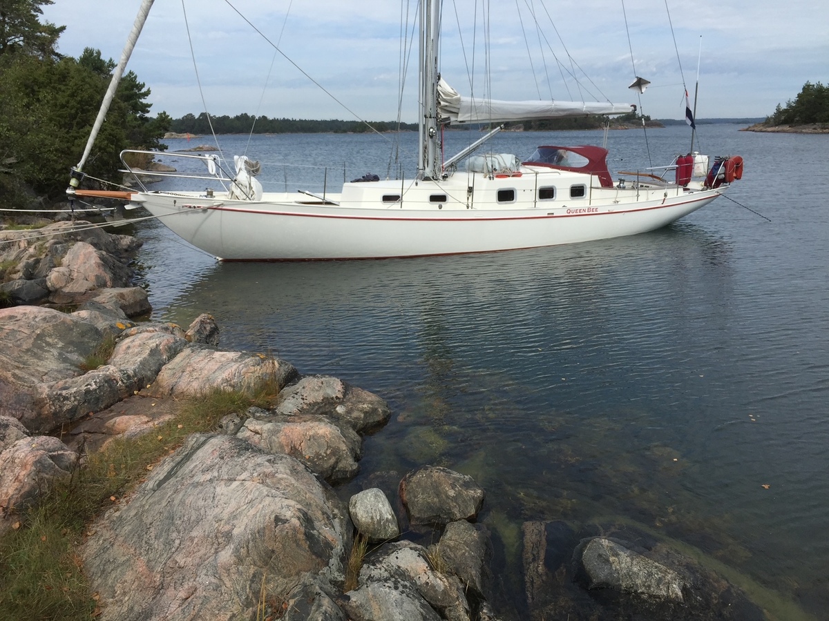 hoofdfoto: 1 De Jong 12.50 One Off S-spant jachthek