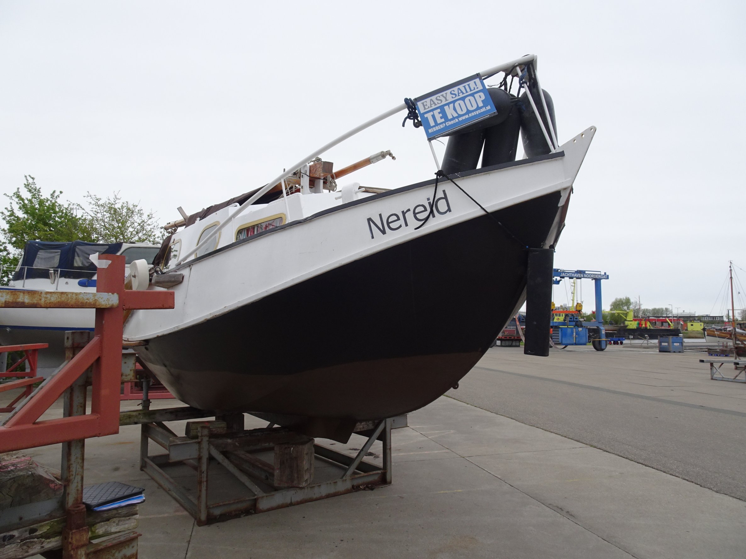 foto: 21 Baarda  Zeegrundel