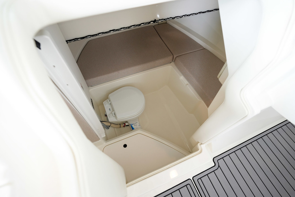 foto: 144 Sea Ray SDX 250