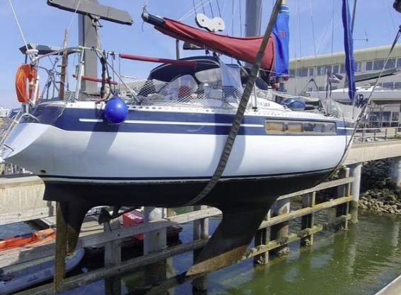 foto: 6 King Cruiser 33