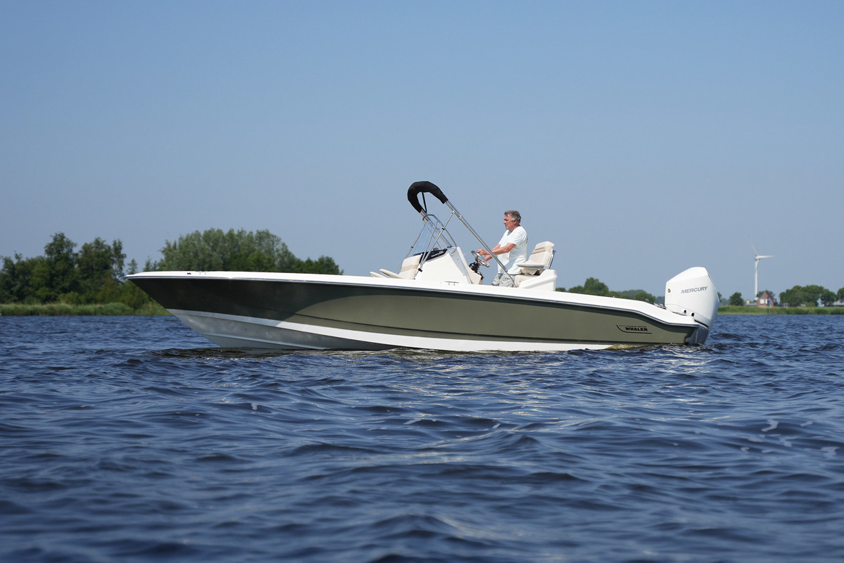 foto: 40 Boston Whaler 250 Dauntless