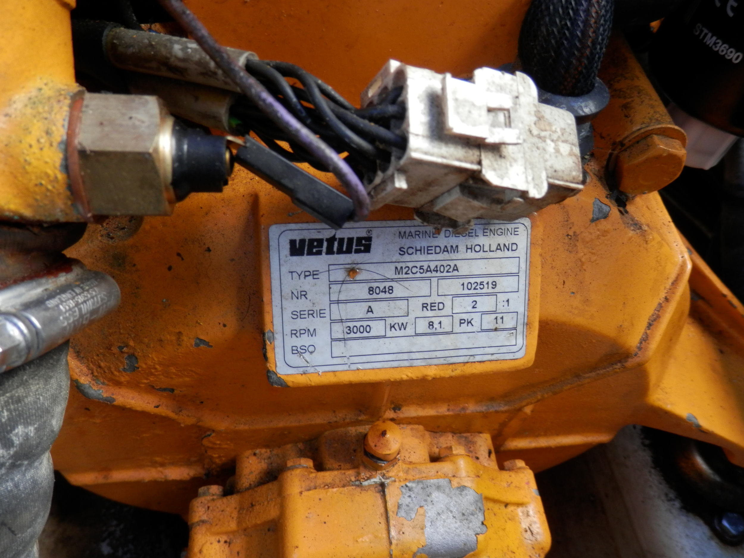 foto: 41 Brendan 2000