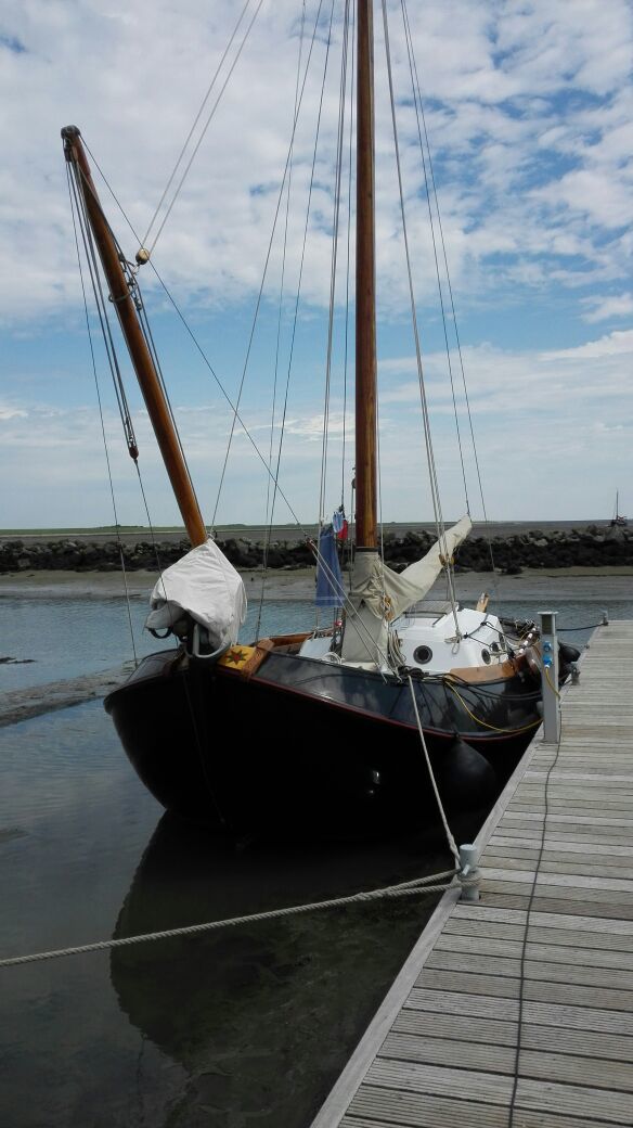 foto: 63 Blom Lemsteraak 10.10