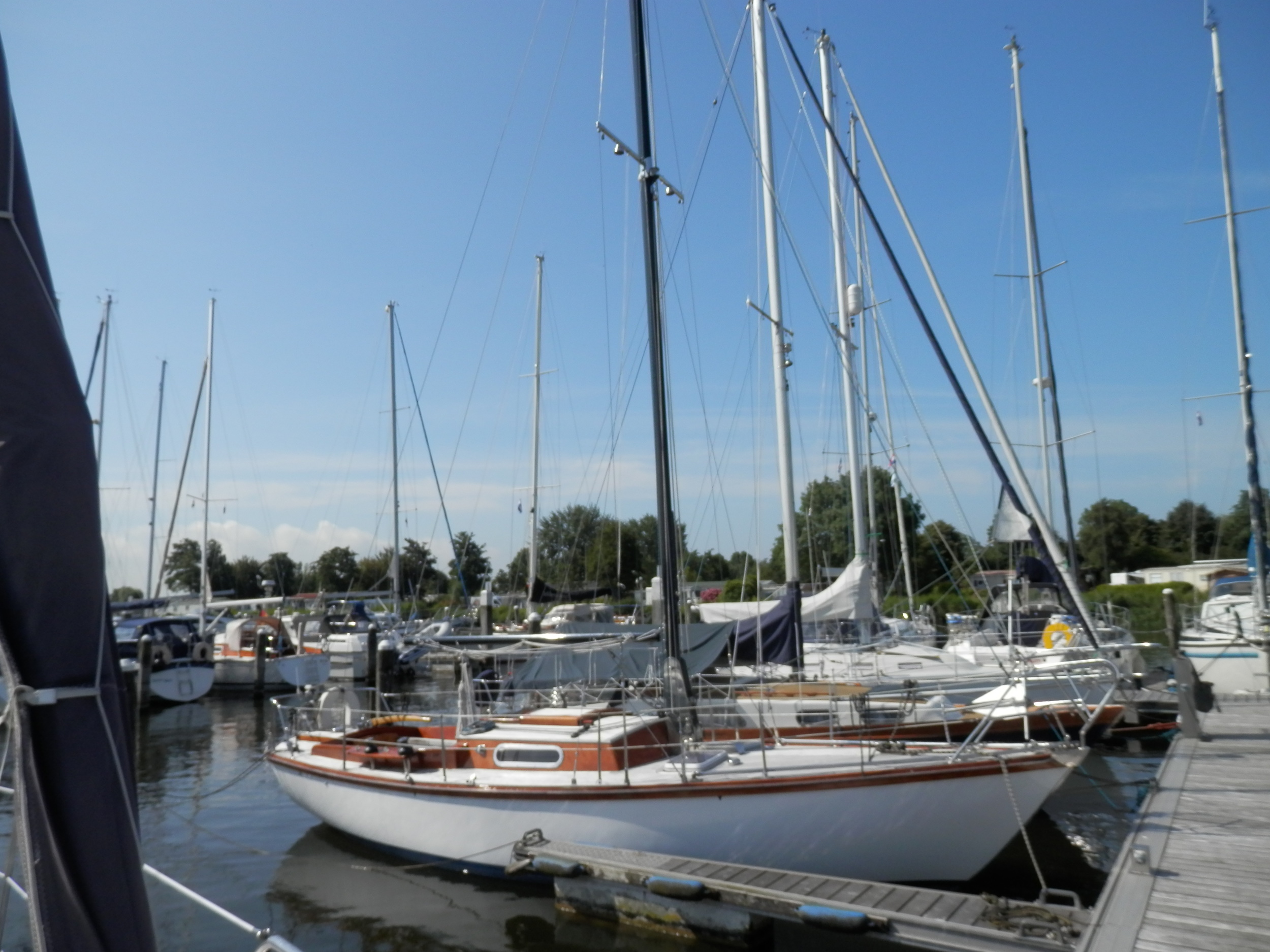 foto: 26 Sailborne 28