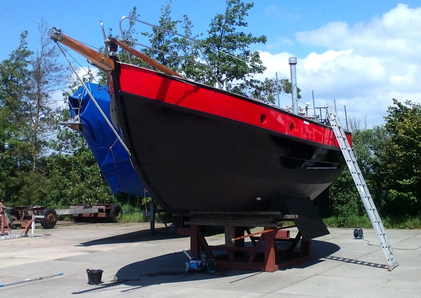 foto: 16 Danish Rose 31