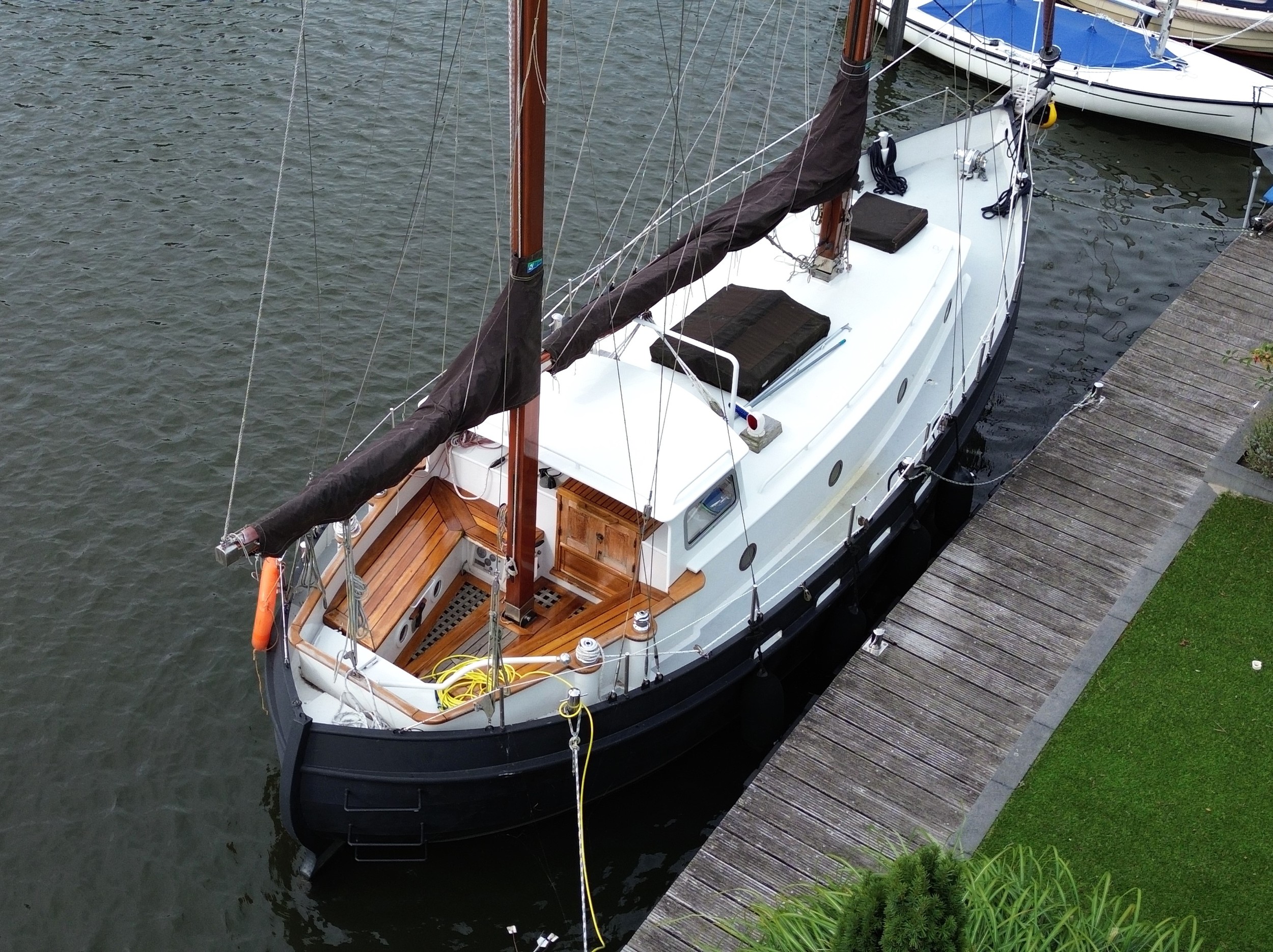 foto: 23 Danish Rose 31