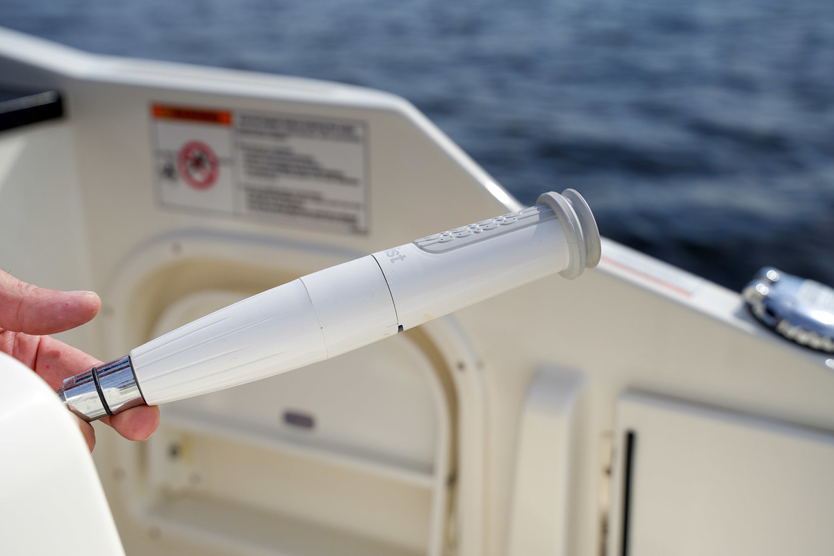 foto: 46 Sea Ray SDX 290 Outboard