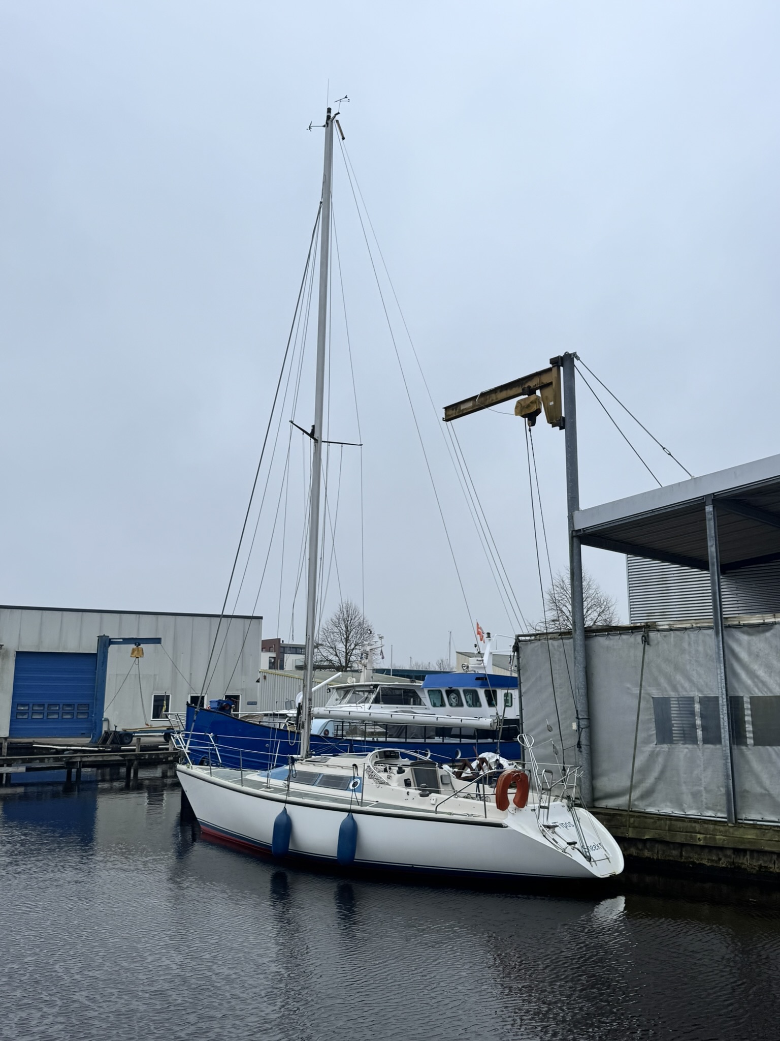 foto: 32 Dehler Optima 101