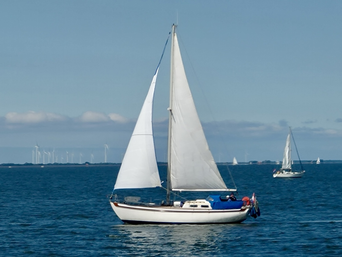 foto: 55 Tradewind 33