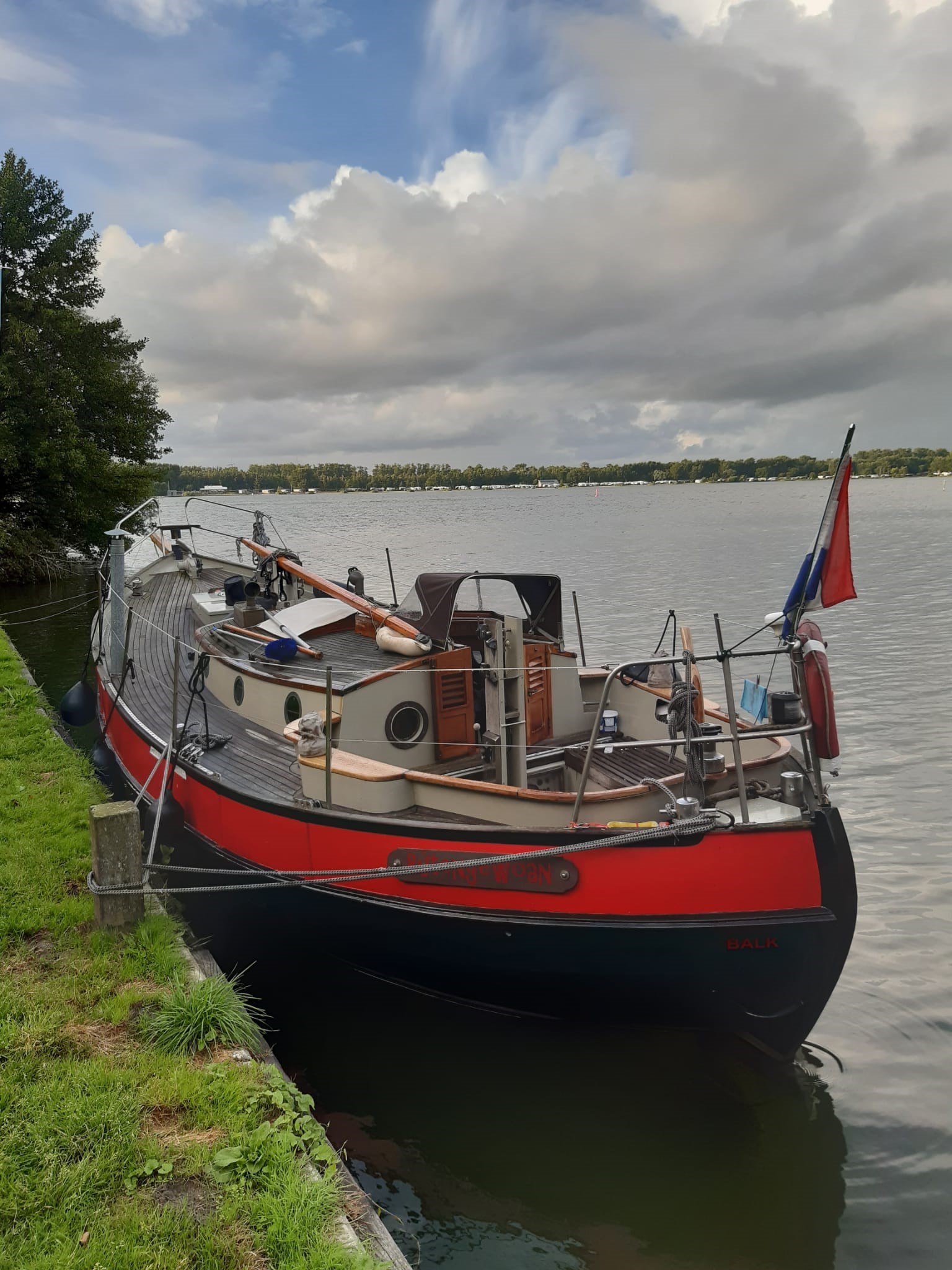 foto: 17 Danish Rose 31