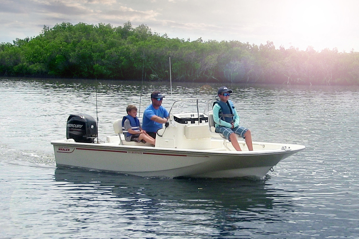 foto: 27 Boston Whaler 150 Montauk