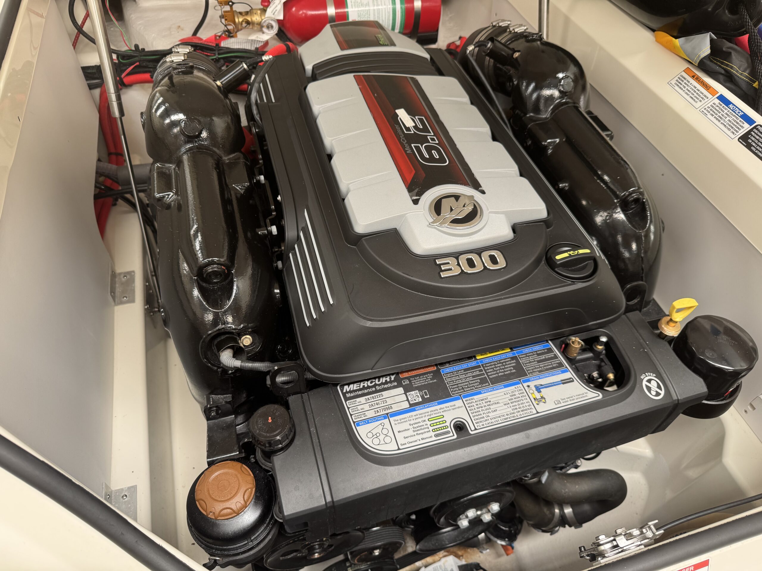 foto: 19 Sea Ray SDX 250