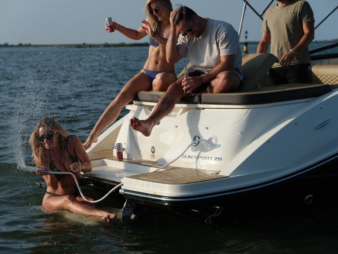 foto: 9 Sea Ray Sun Sport 230