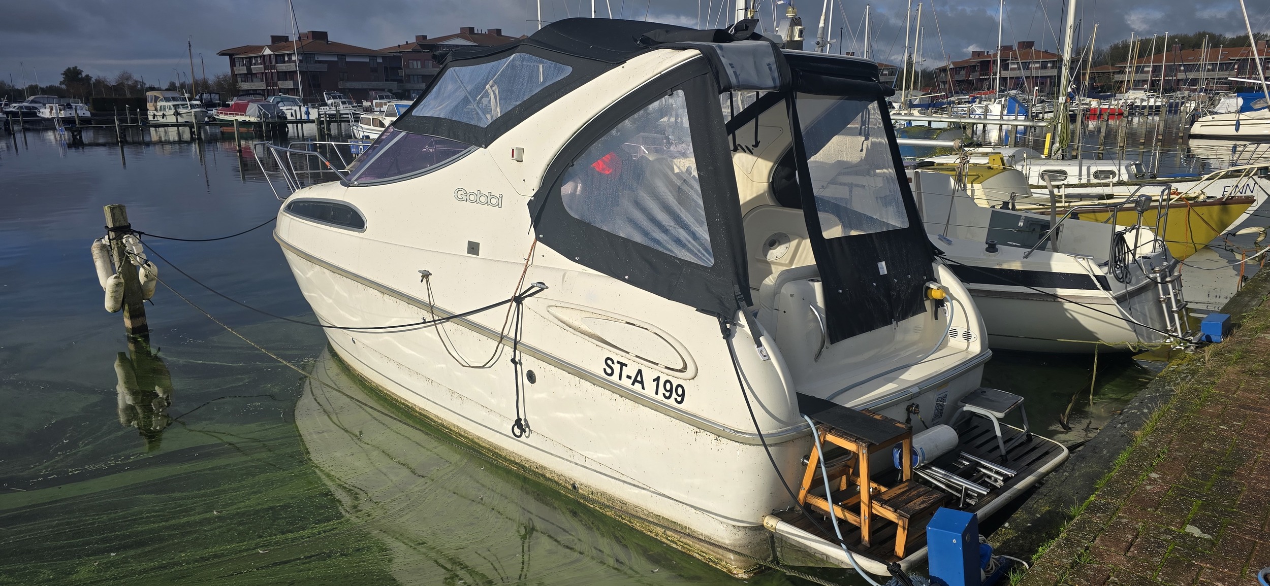 foto: 49 Gobbi 245 Cabin