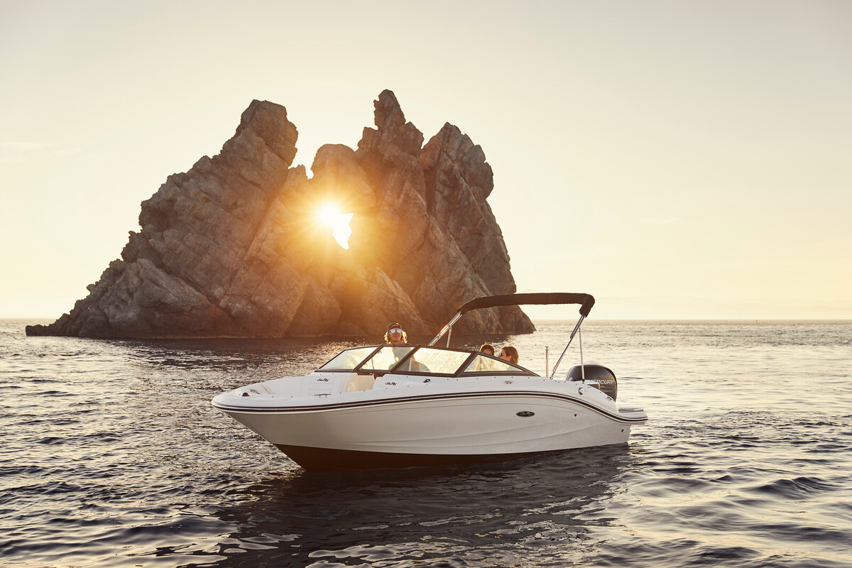 foto: 8 Sea Ray SPX 190 Outboard