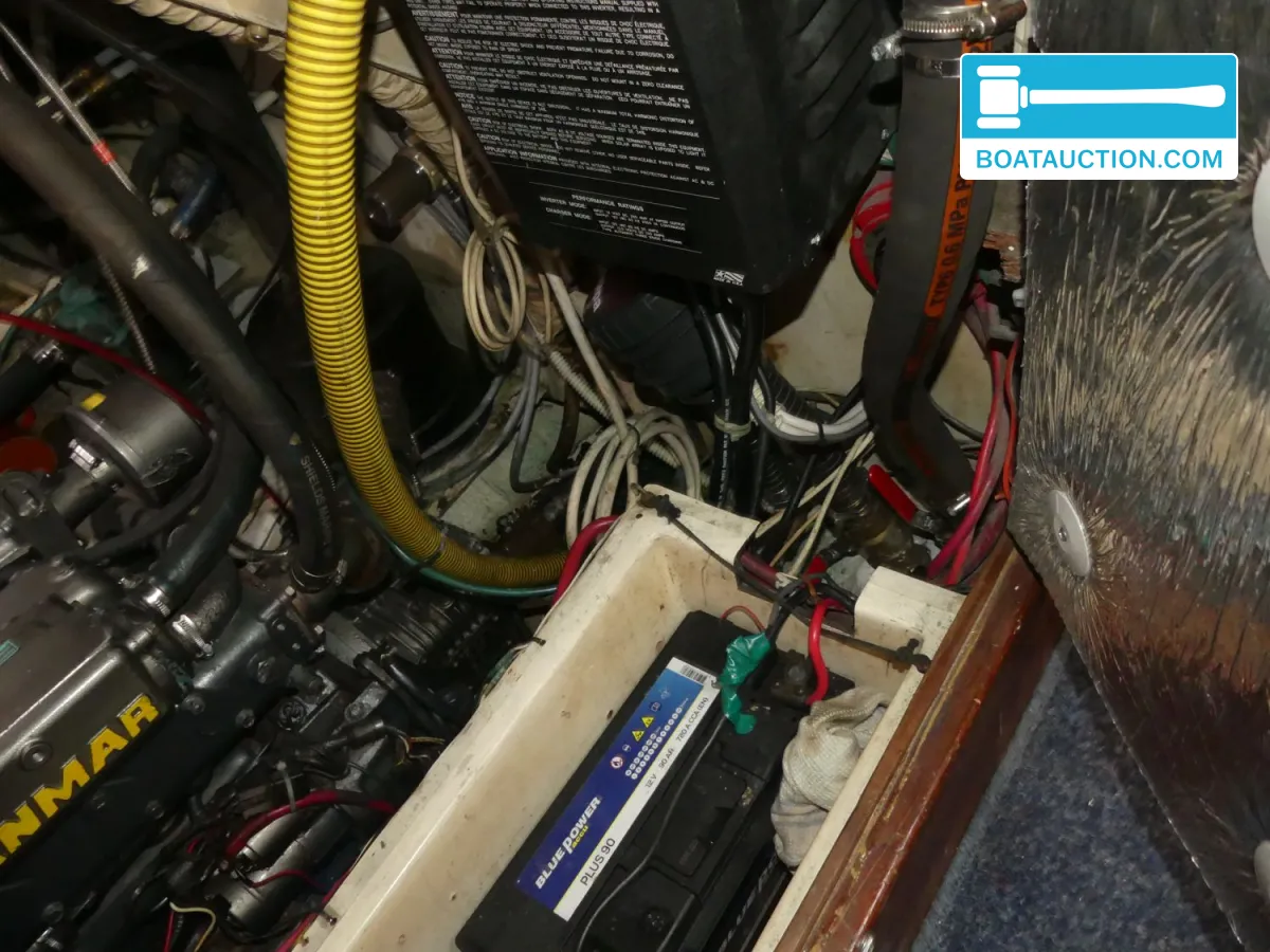 foto: 38 Morgan Out Island 41