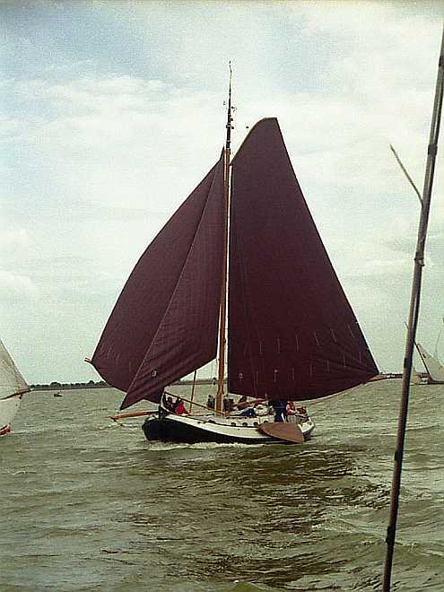 foto: 40 Blom Lemsteraak 12.10 Roefaak