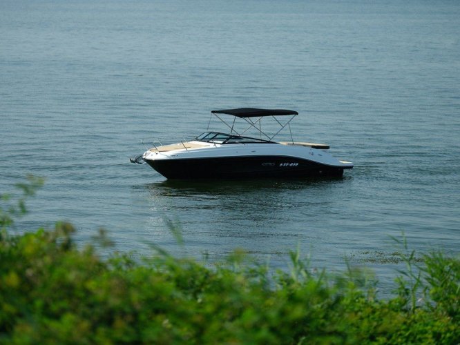 foto: 10 Sea Ray Sun Sport 230