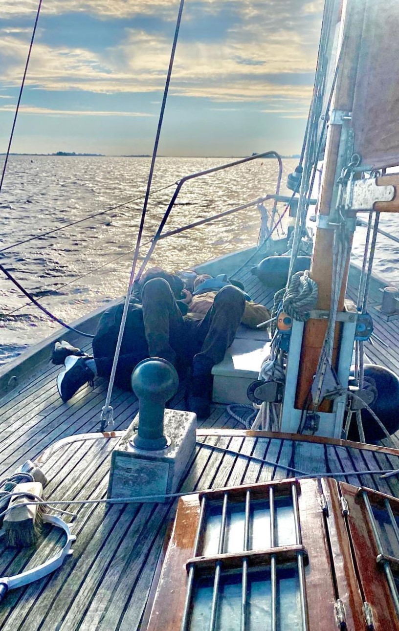 foto: 18 Danish Rose 31