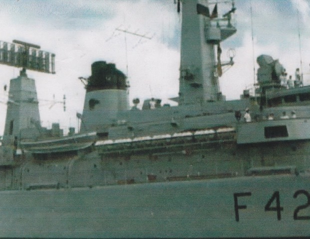 foto: 14 Whaler Navy 8.50