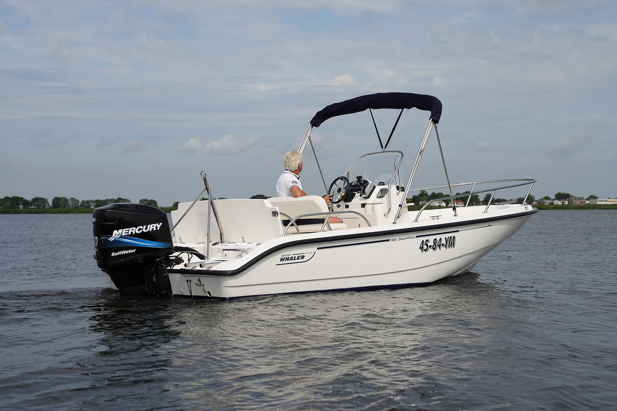 foto: 34 Boston Whaler 180 Dauntless