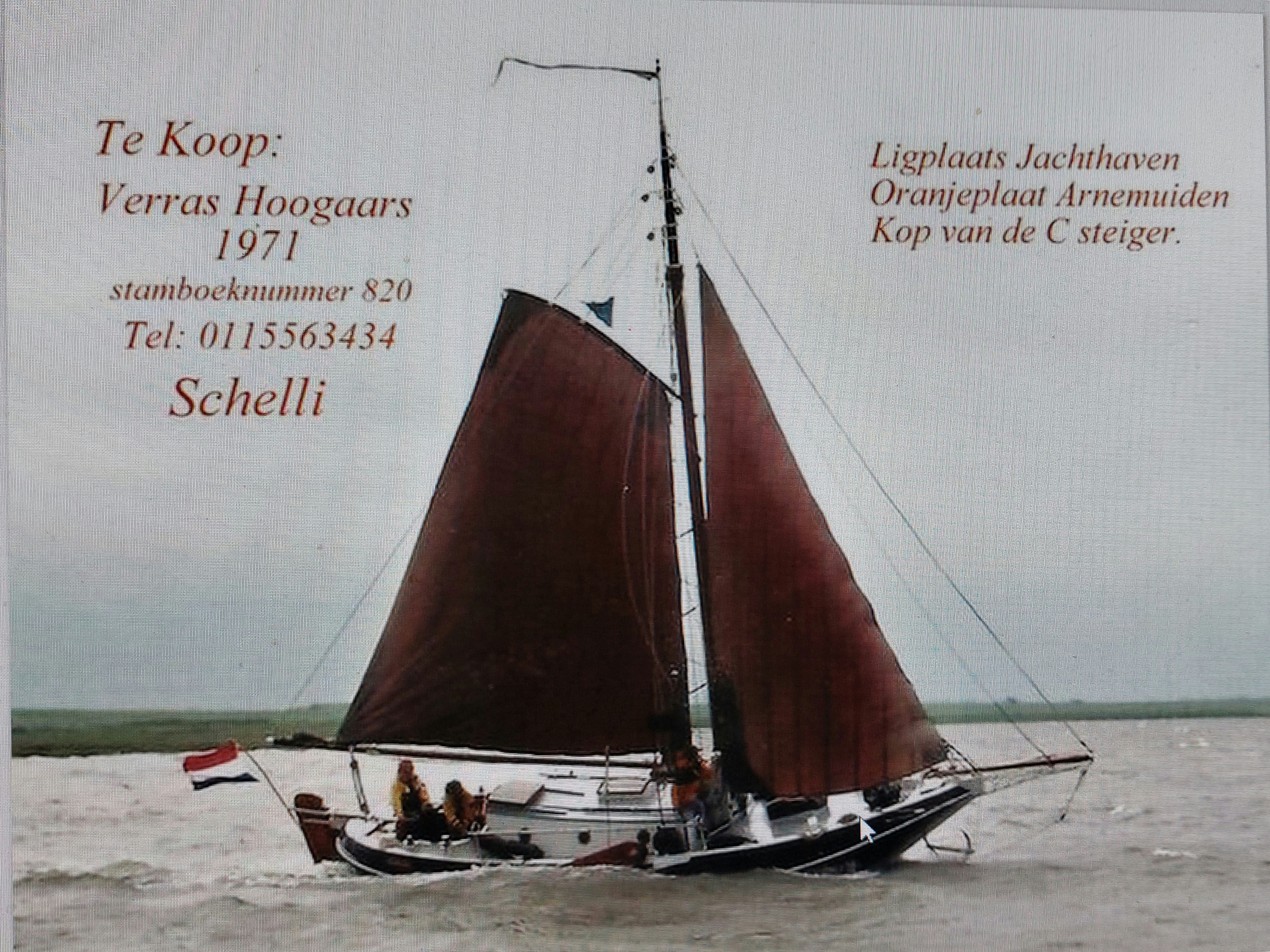 foto: 37 Hoogaars - Platbodem 10.00