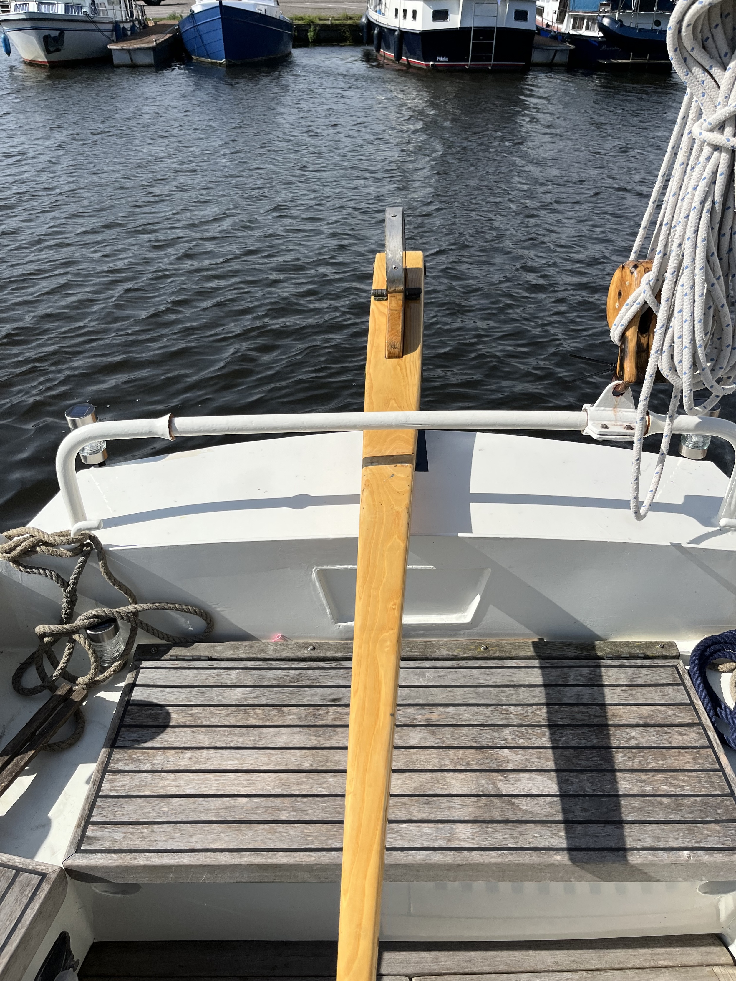 foto: 31 Zeeschouw Boomsma 8.50