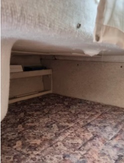 foto: 7 Bayliner  2655