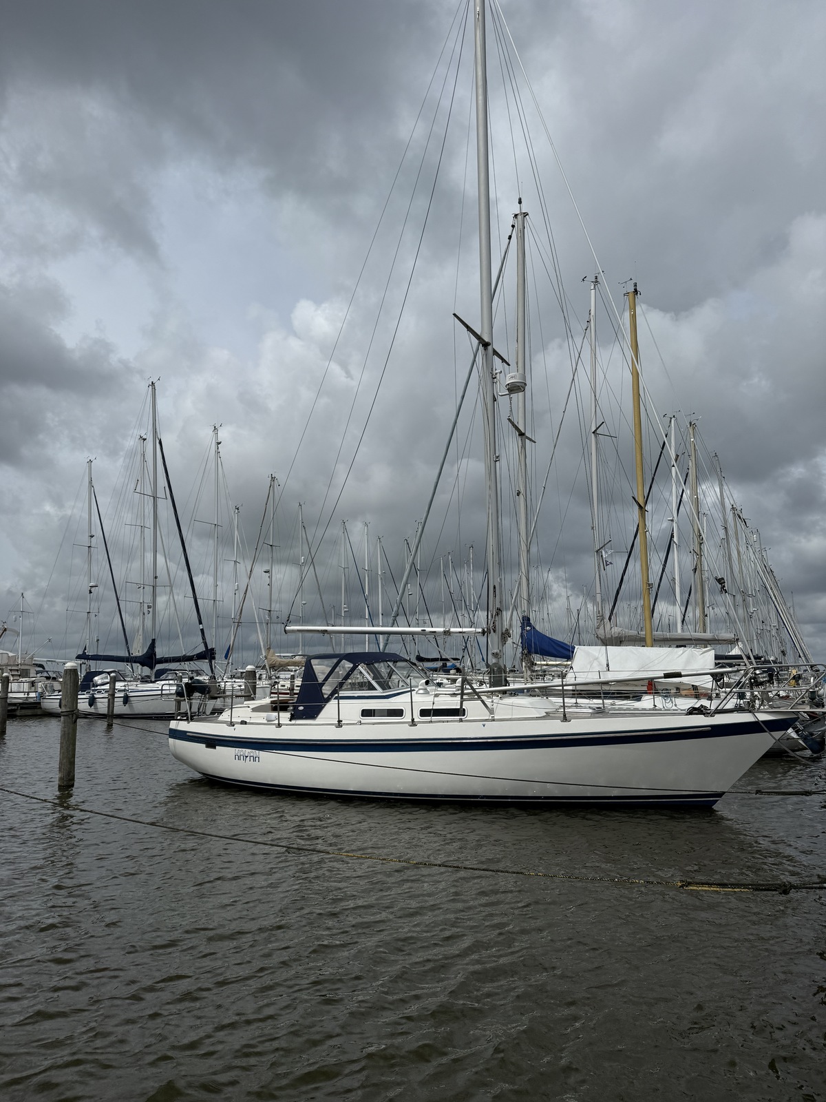 foto: 43 Targa 96 AK