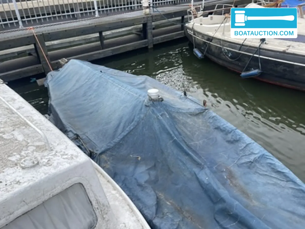 foto: 6 Zeeschouw 550
