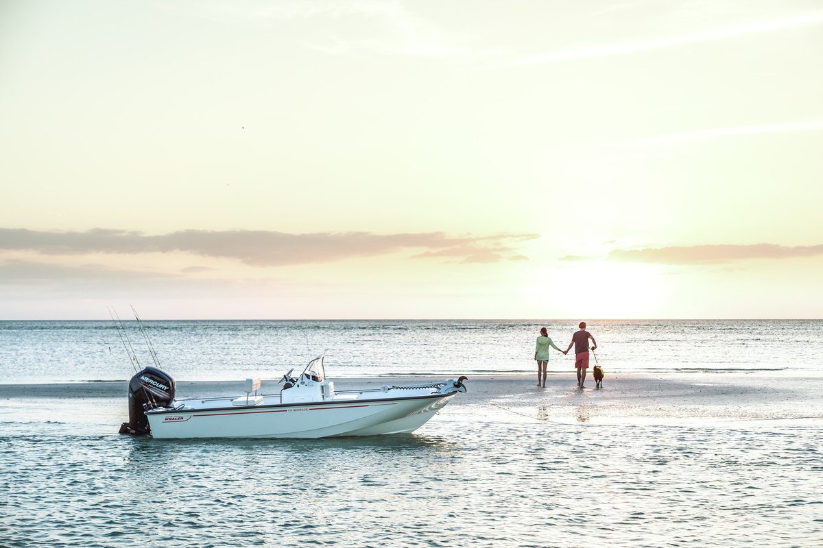 foto: 15 Boston Whaler 170 Montauk