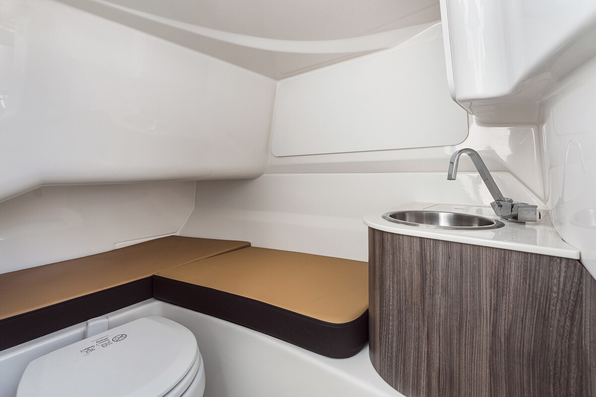 foto: 20 Sea Ray SDX 250 Surf