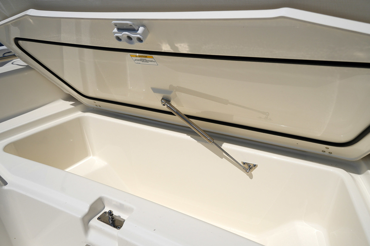 foto: 38 Boston Whaler 250 Dauntless