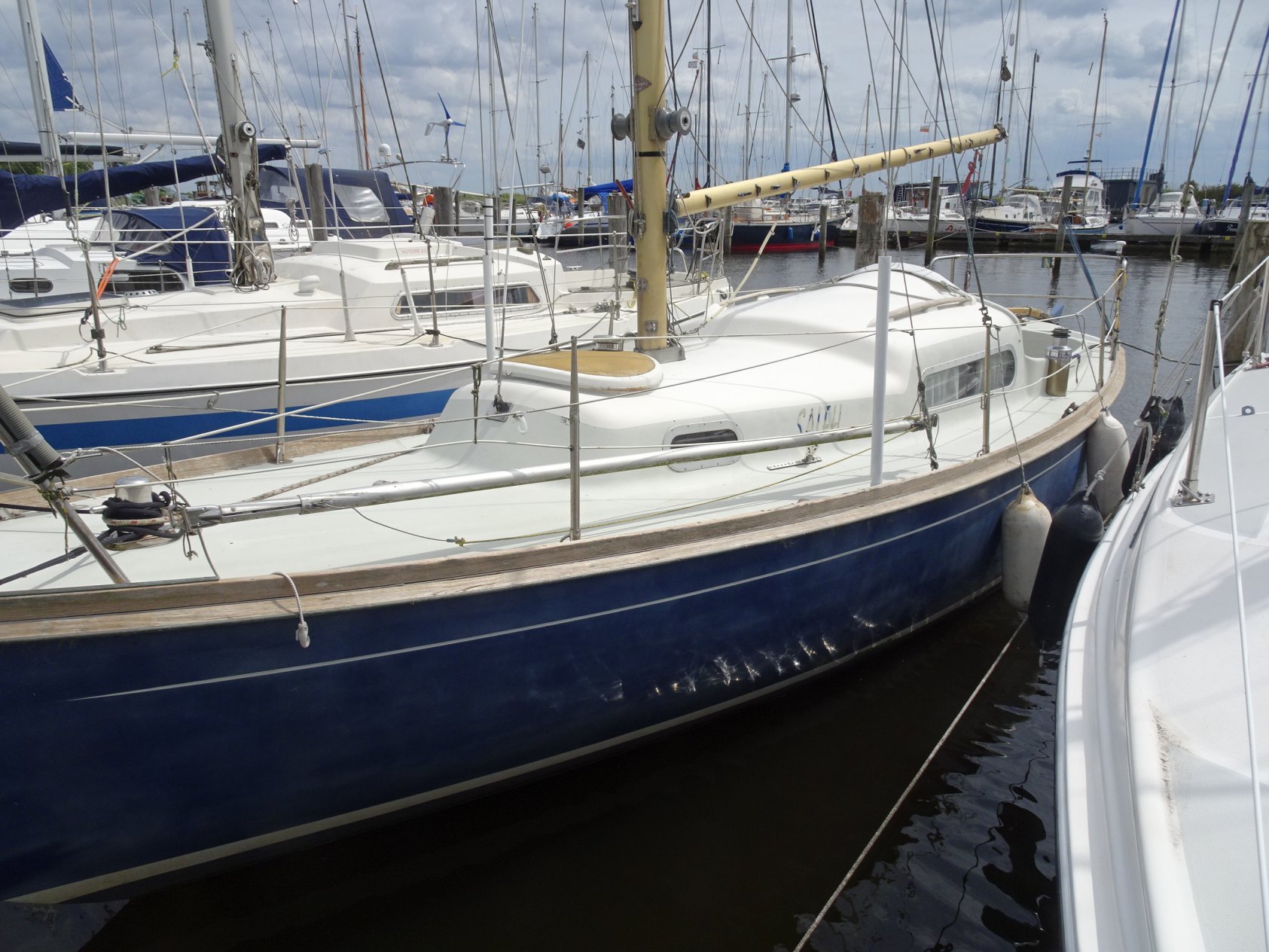 foto: 5 Van de Stadt Invicta 26