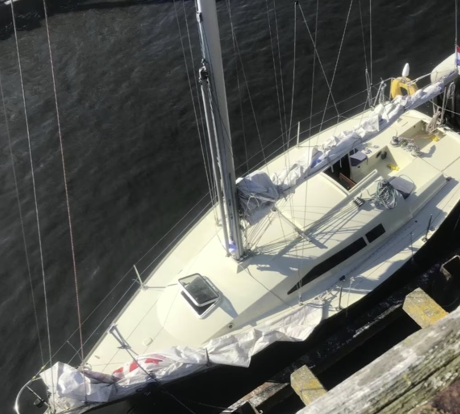 foto: 5 Kolibrie  900