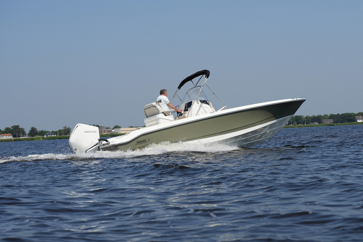 foto: 41 Boston Whaler 250 Dauntless