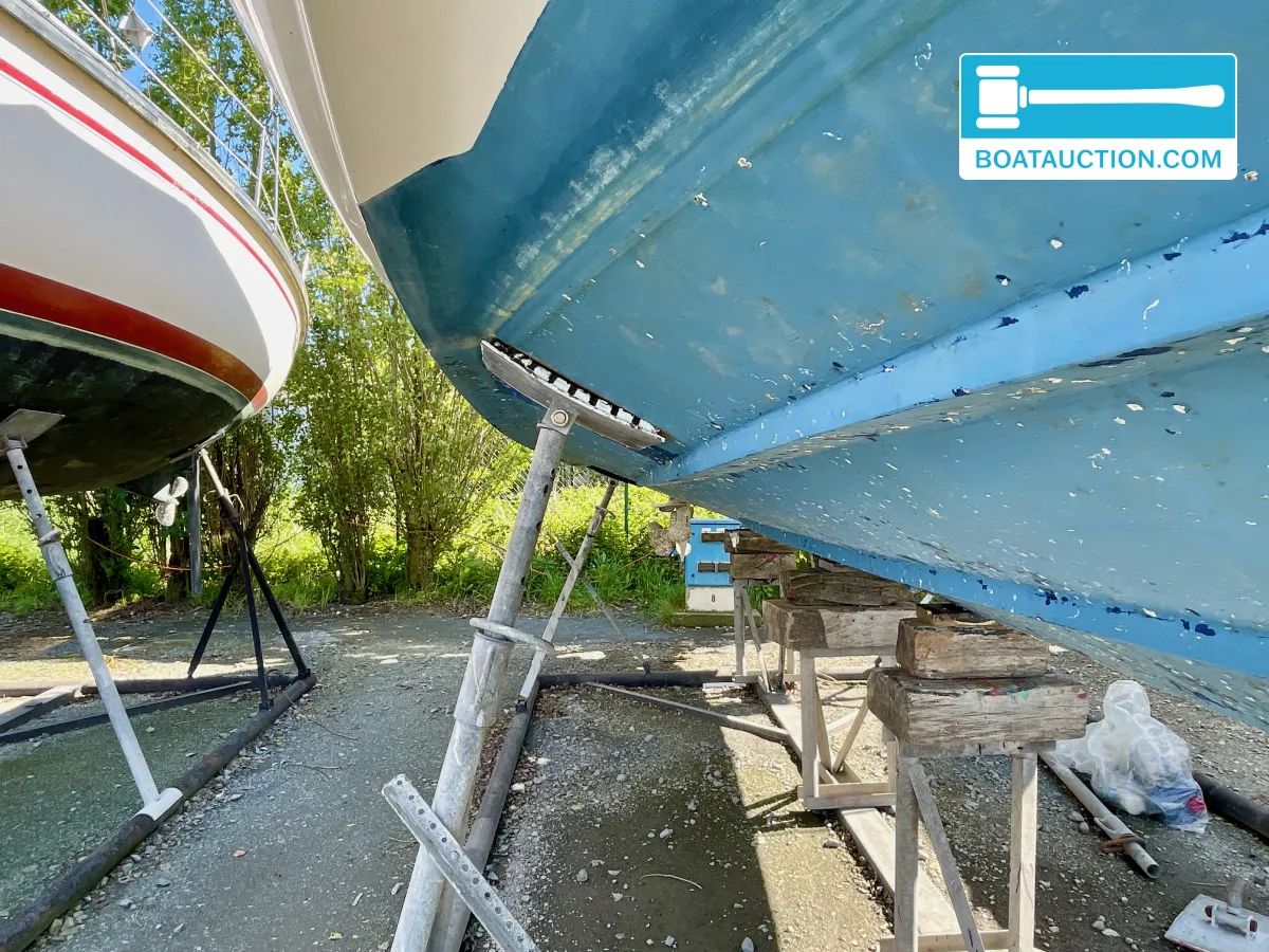 foto: 63 Sealine 310 Sportbridge