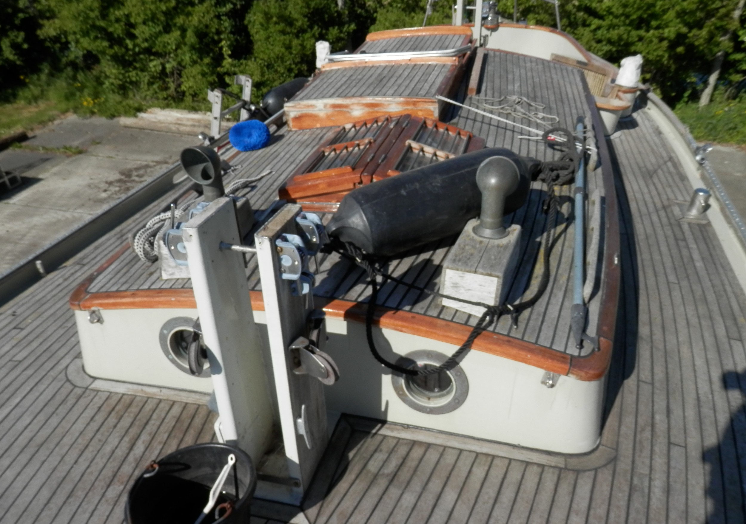 foto: 19 Danish Rose 31