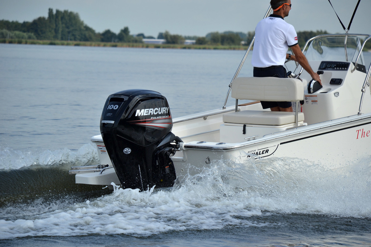 foto: 31 Boston Whaler 170 Montauk