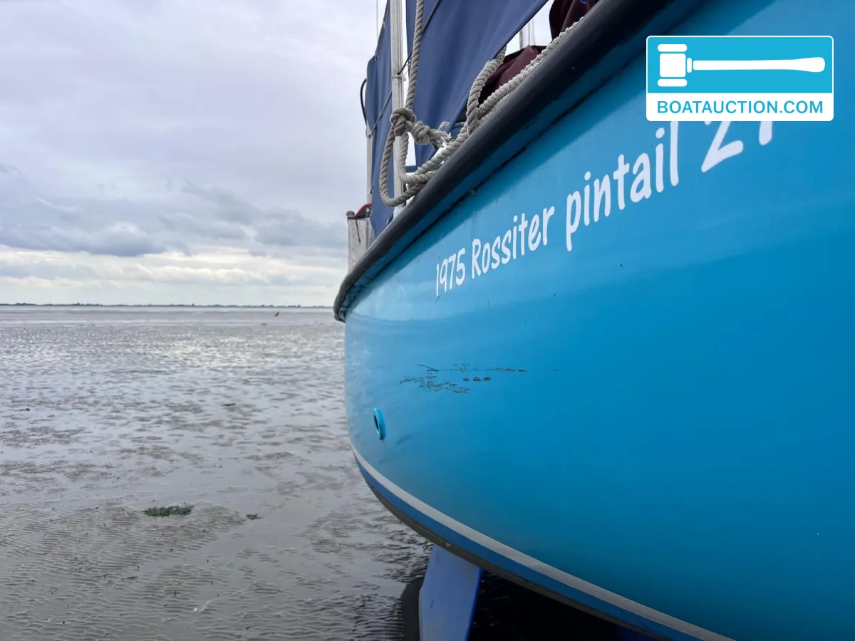 foto: 33 Rossiter Pintail 27