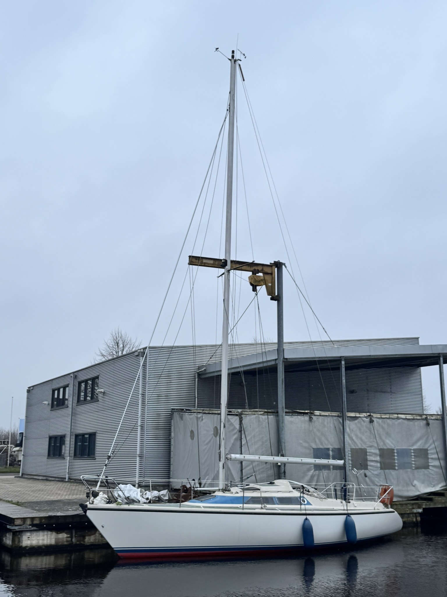 foto: 33 Dehler Optima 101