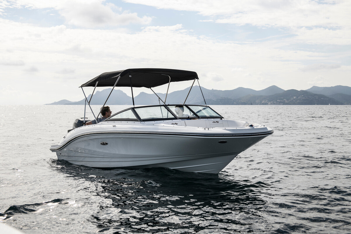 foto: 17 Sea Ray SPX 210 Outboard