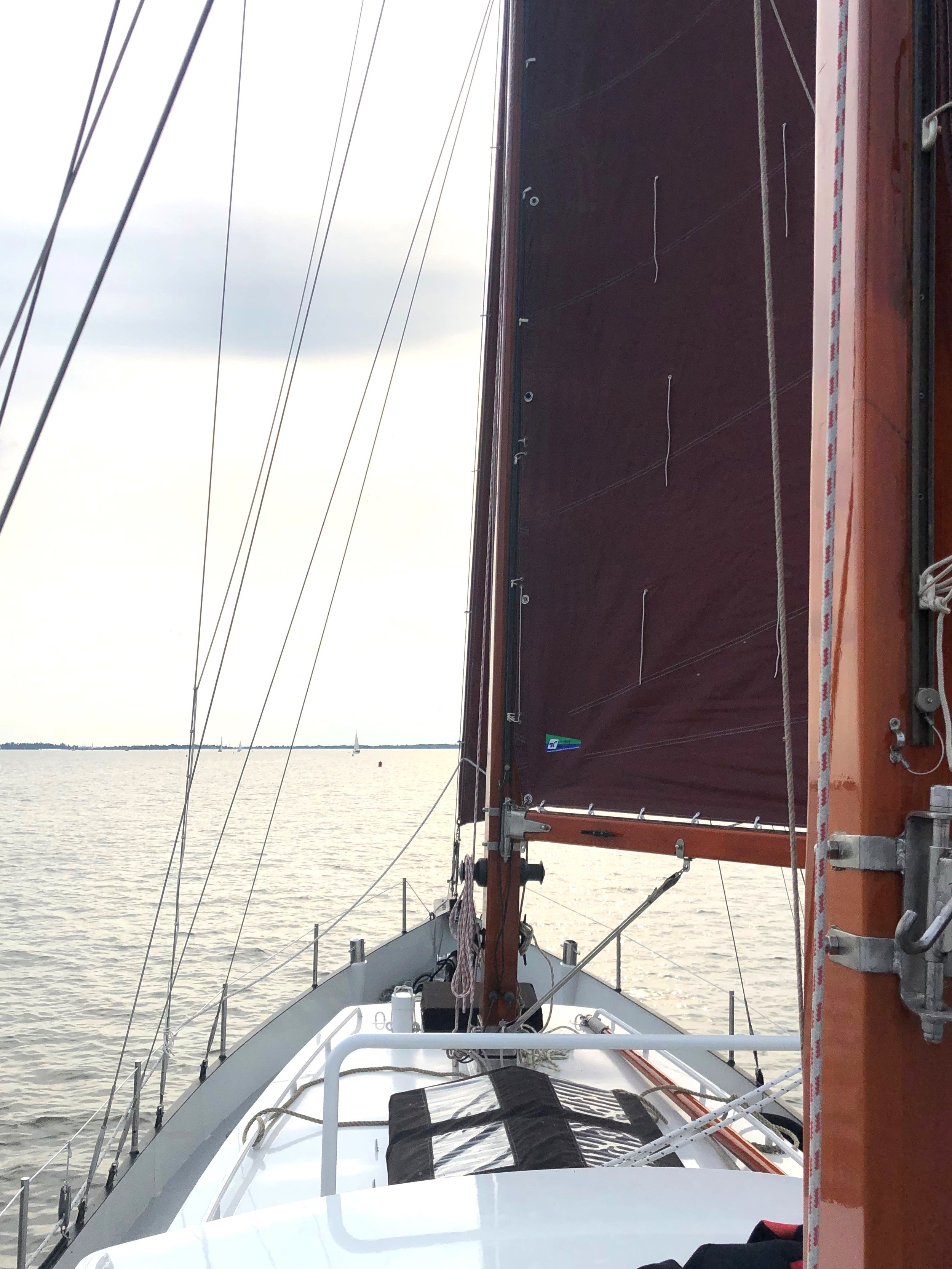 foto: 22 Danish Rose 31